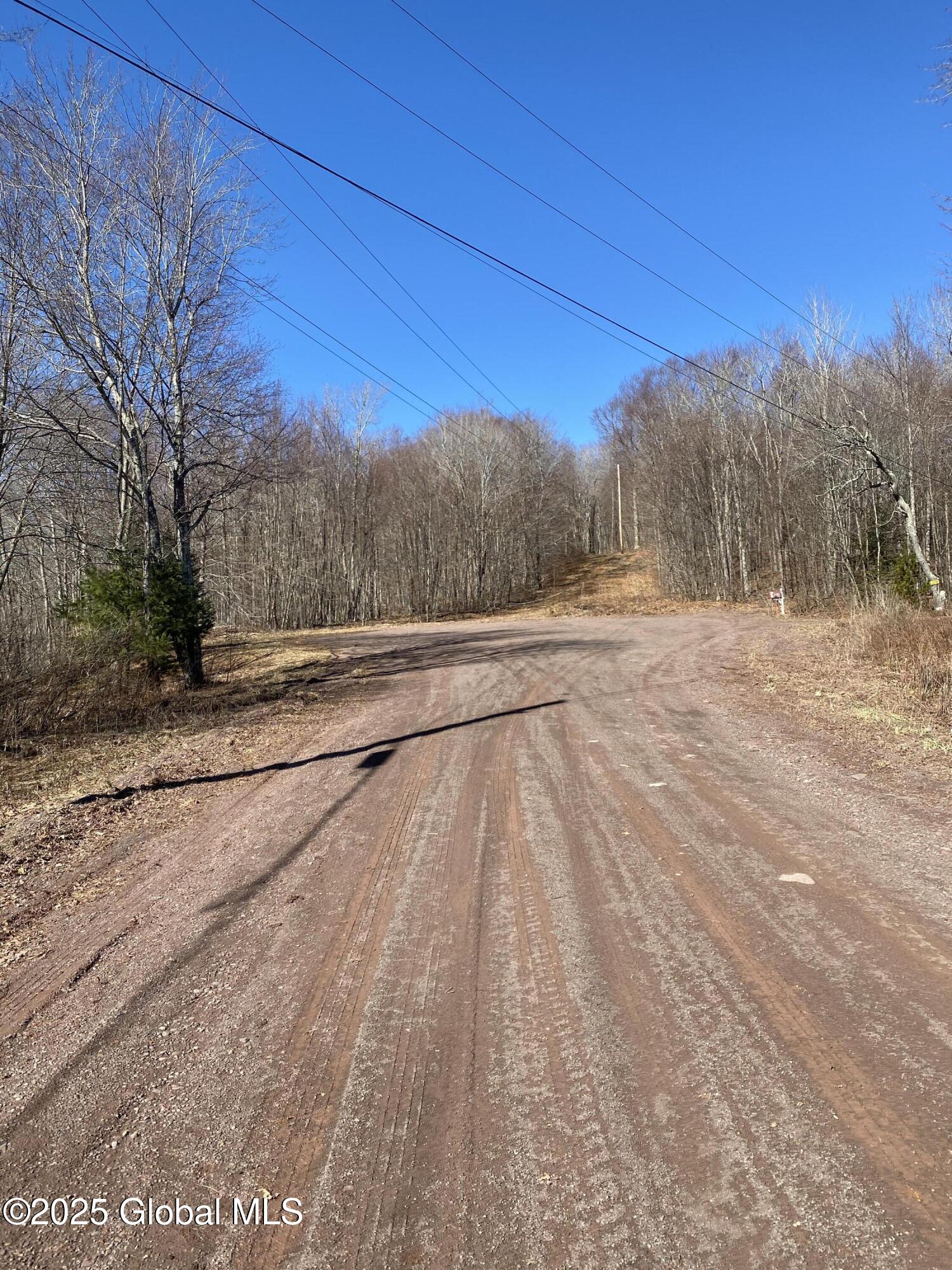 L22.2 Alder Pond Road Andes NY 13740