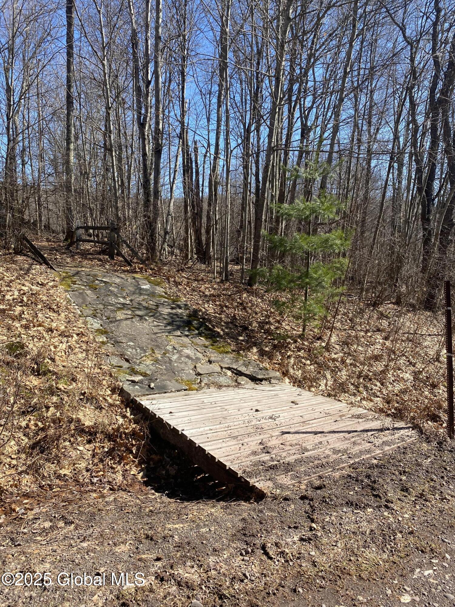 L22.2 Alder Pond Road Andes NY 13740