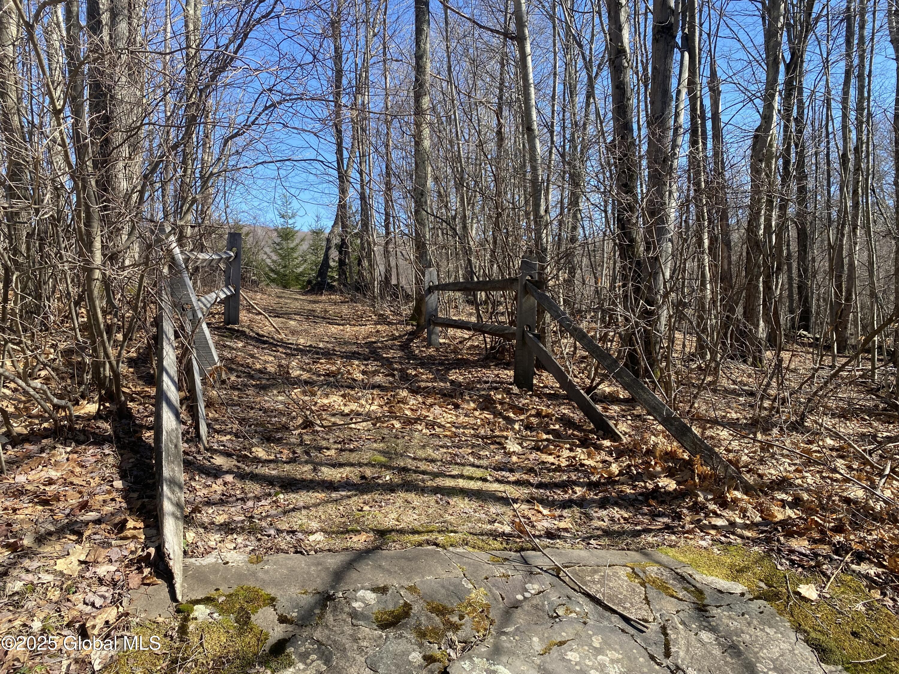L22.2 Alder Pond Road Andes NY 13740