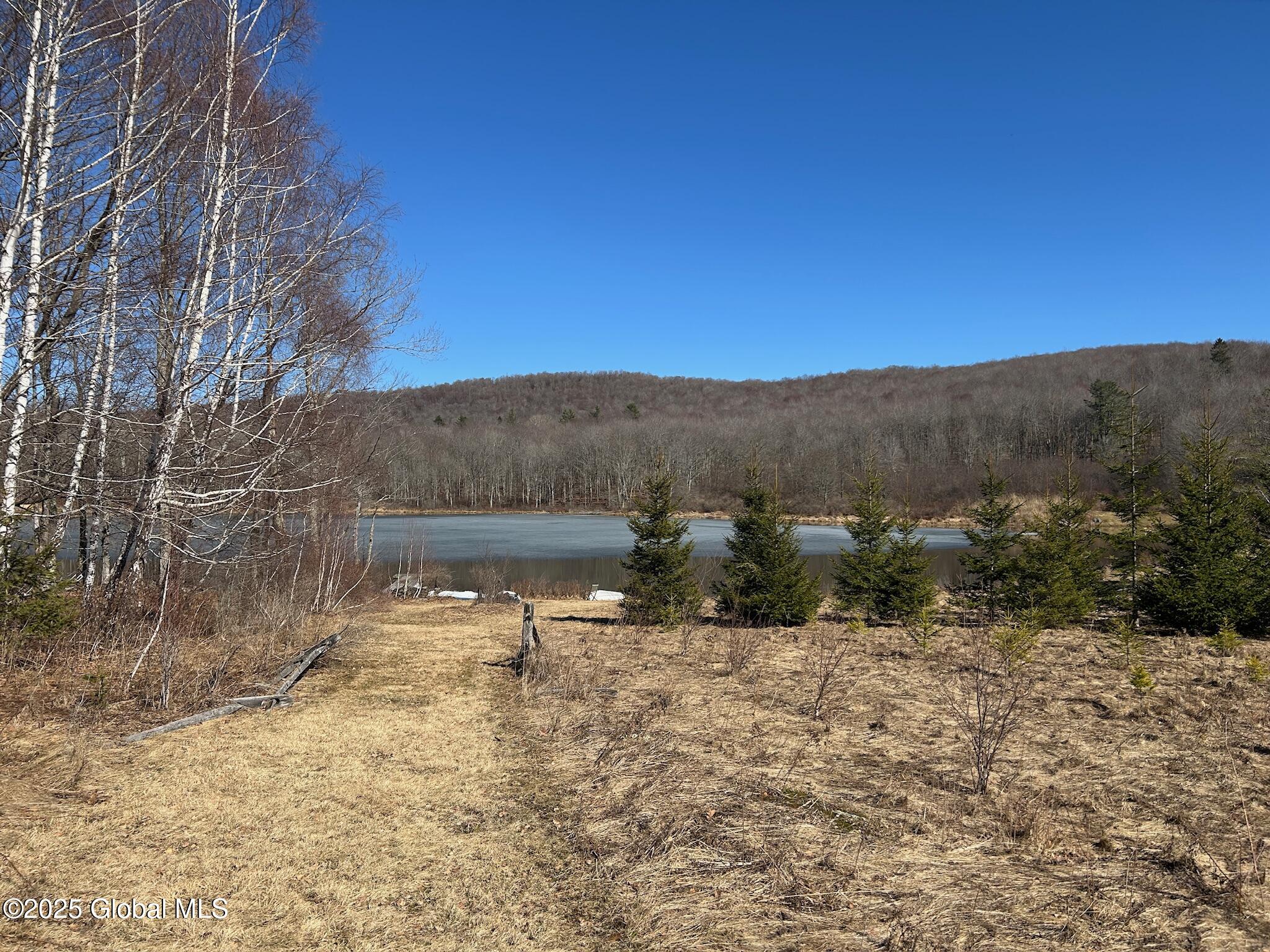 L22.2 Alder Pond Road Andes NY 13740