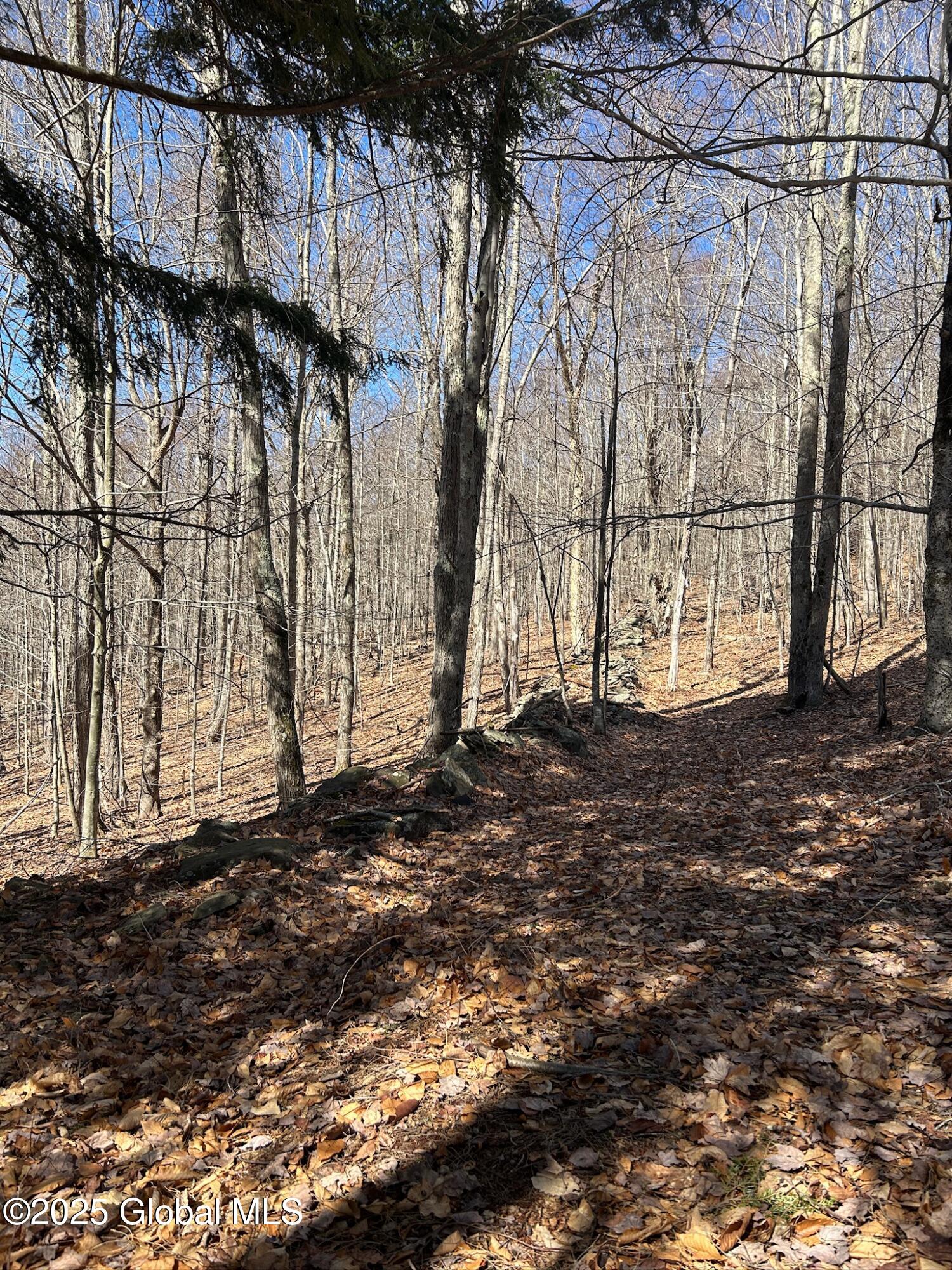 L22.2 Alder Pond Road Andes NY 13740