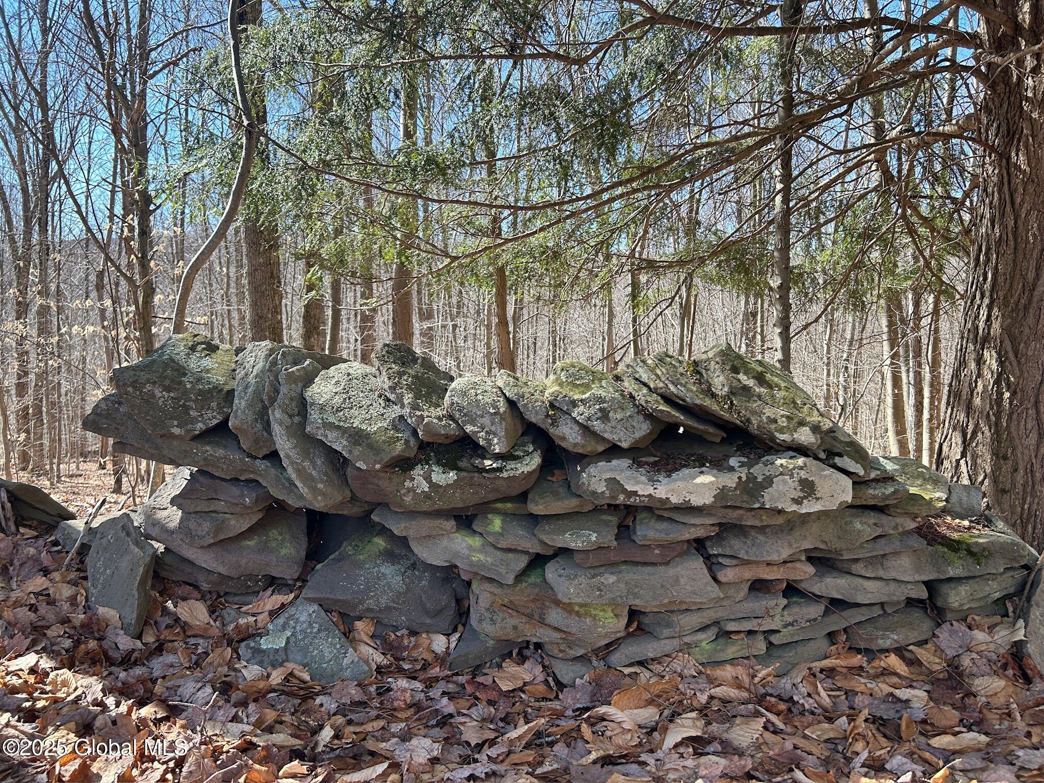 L22.2 Alder Pond Road Andes NY 13740