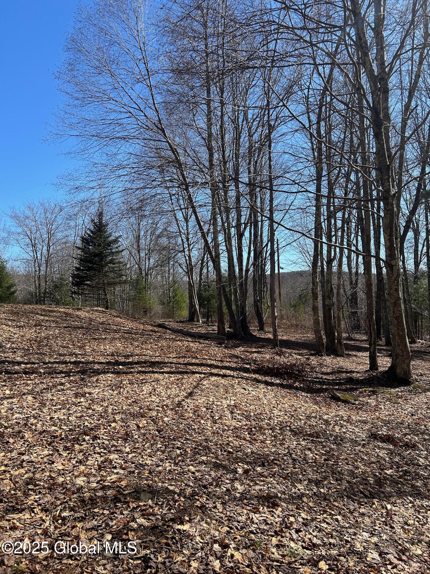 L22.2 Alder Pond Road Andes NY 13740