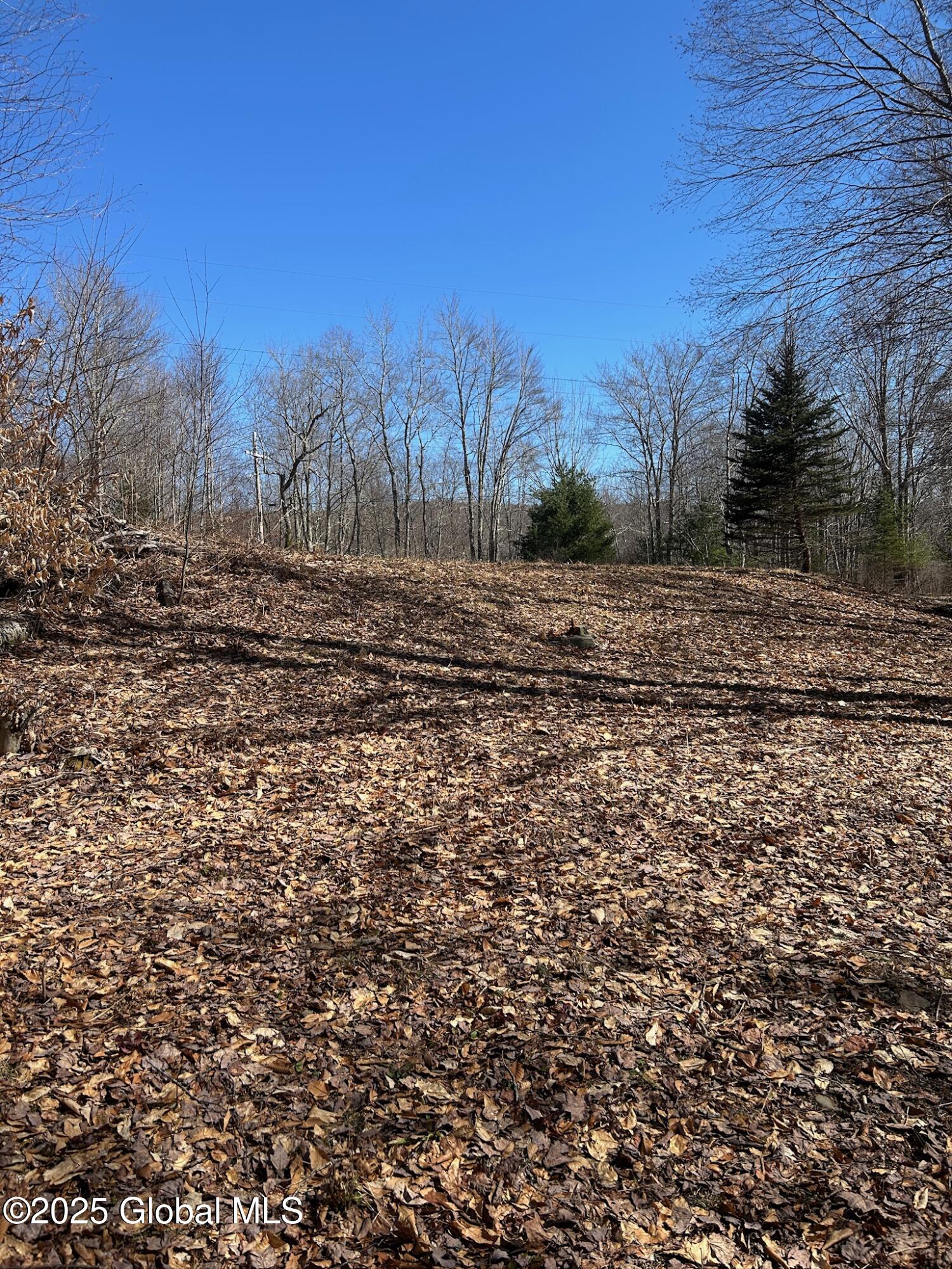 L22.2 Alder Pond Road Andes NY 13740