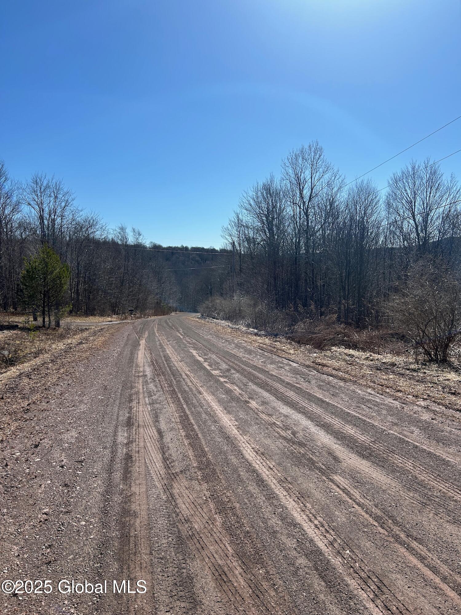 L22.2 Alder Pond Road Andes NY 13740