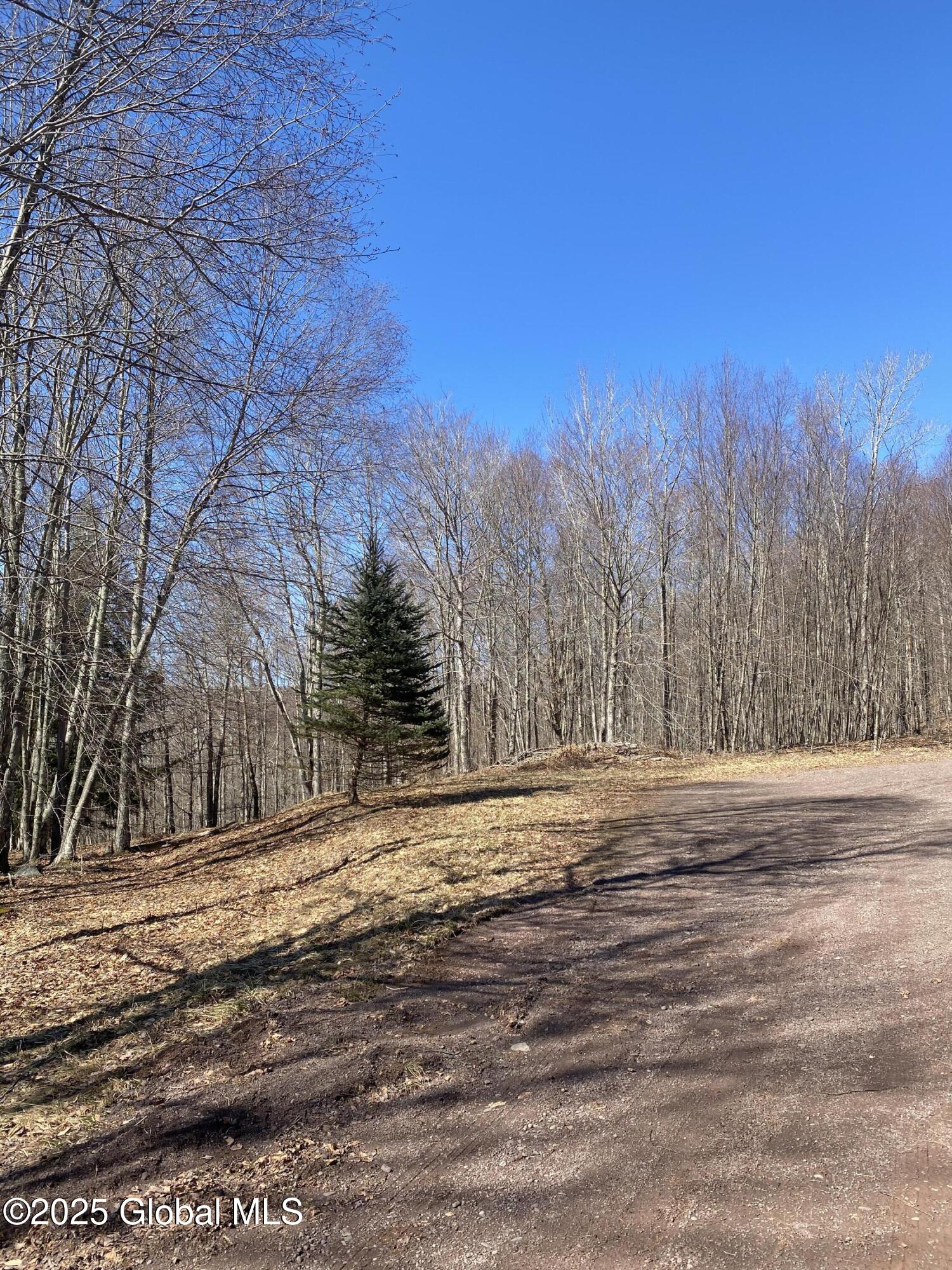 L22.2 Alder Pond Road Andes NY 13740