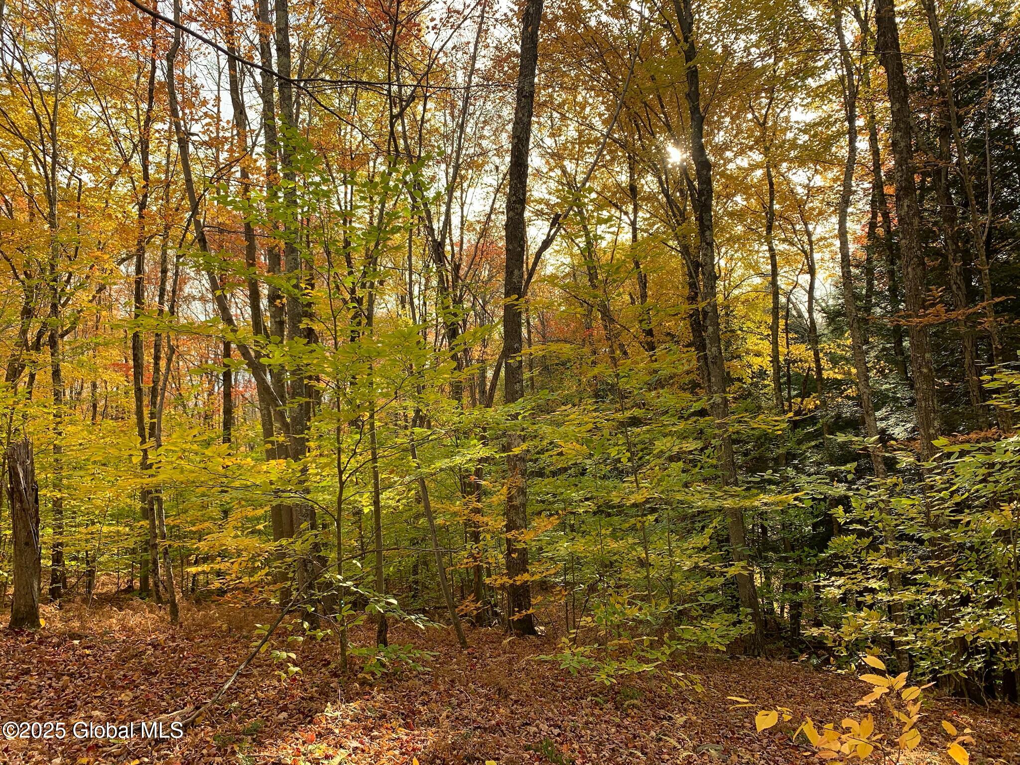 L22.2 Alder Pond Road Andes NY 13740