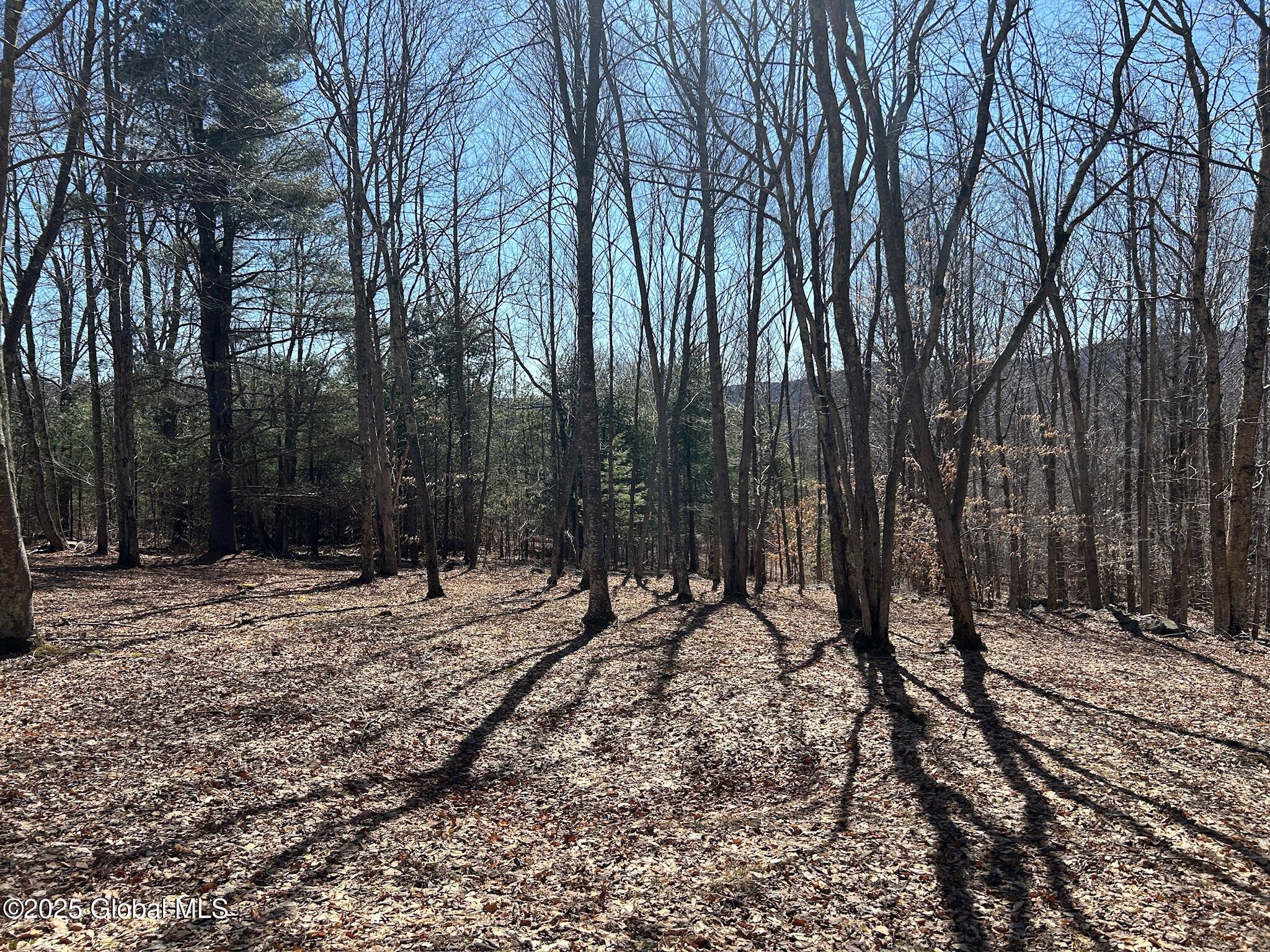 L22.2 Alder Pond Road Andes NY 13740