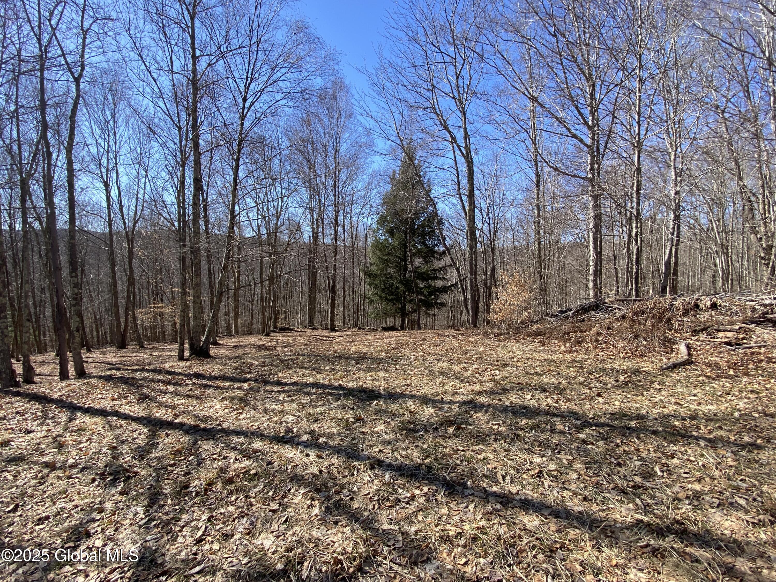 L22.2 Alder Pond Road Andes NY 13740