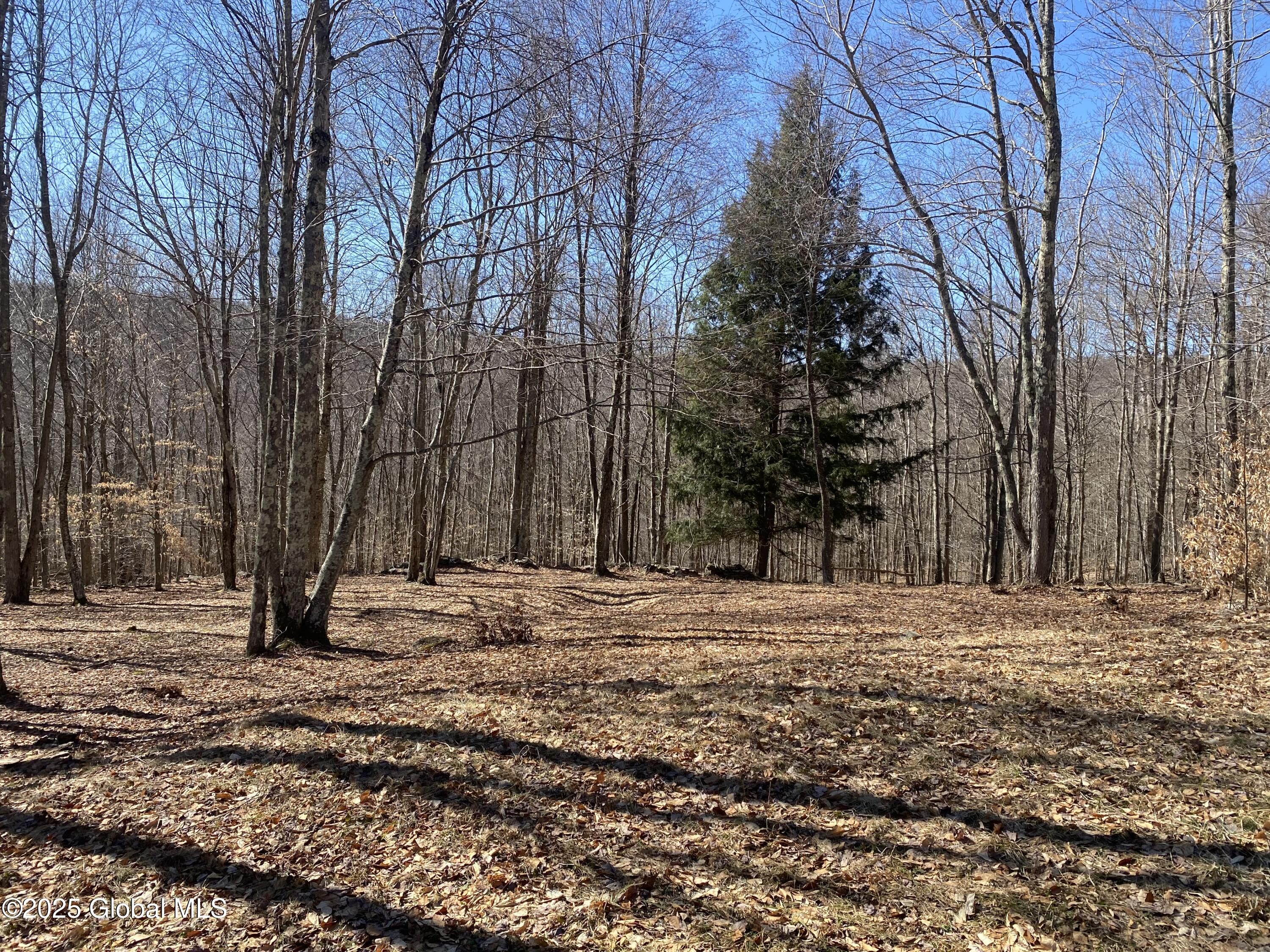 L22.2 Alder Pond Road Andes NY 13740
