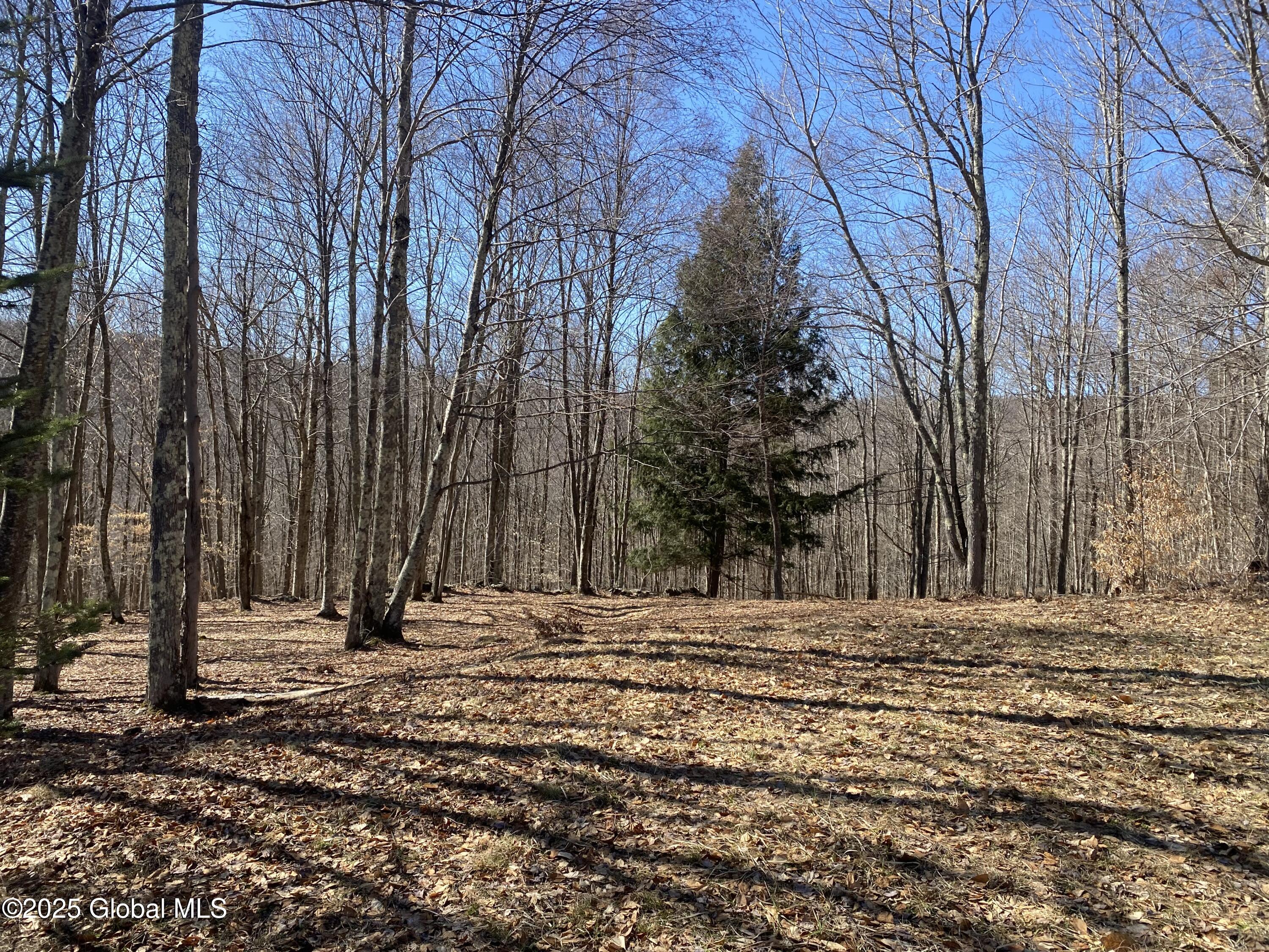 L22.2 Alder Pond Road Andes NY 13740
