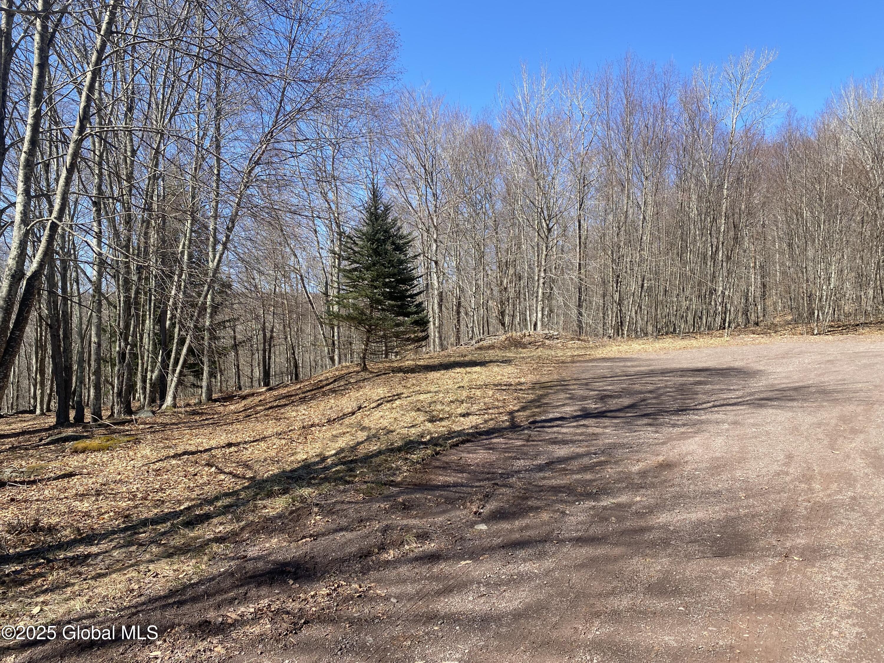 L22.2 Alder Pond Road Andes NY 13740