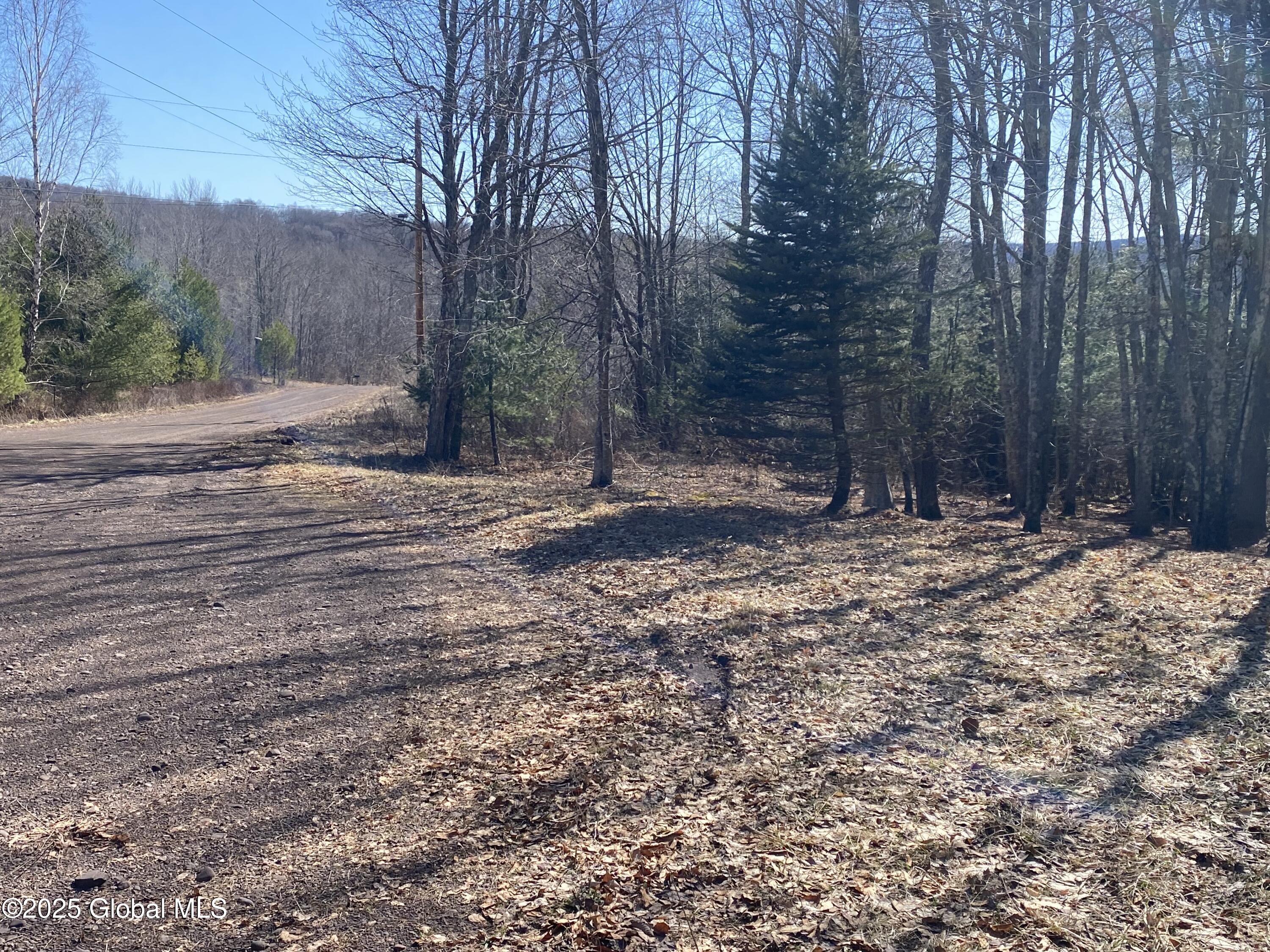L22.2 Alder Pond Road Andes NY 13740