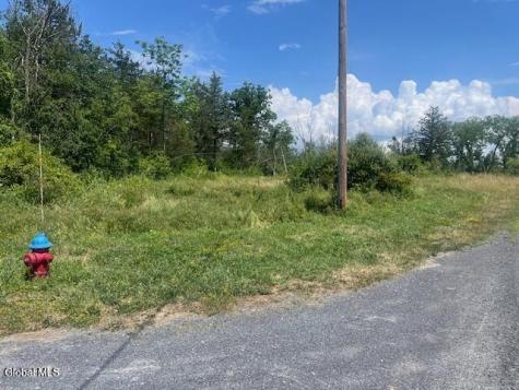 35 Pulcher Hudson NY 12534