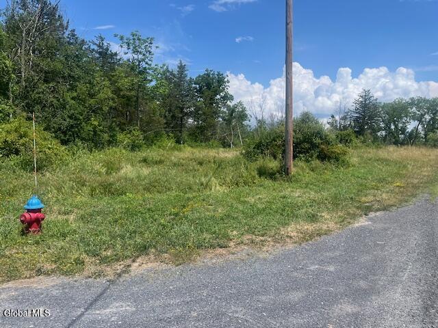 35 Pulcher Hudson NY 12534