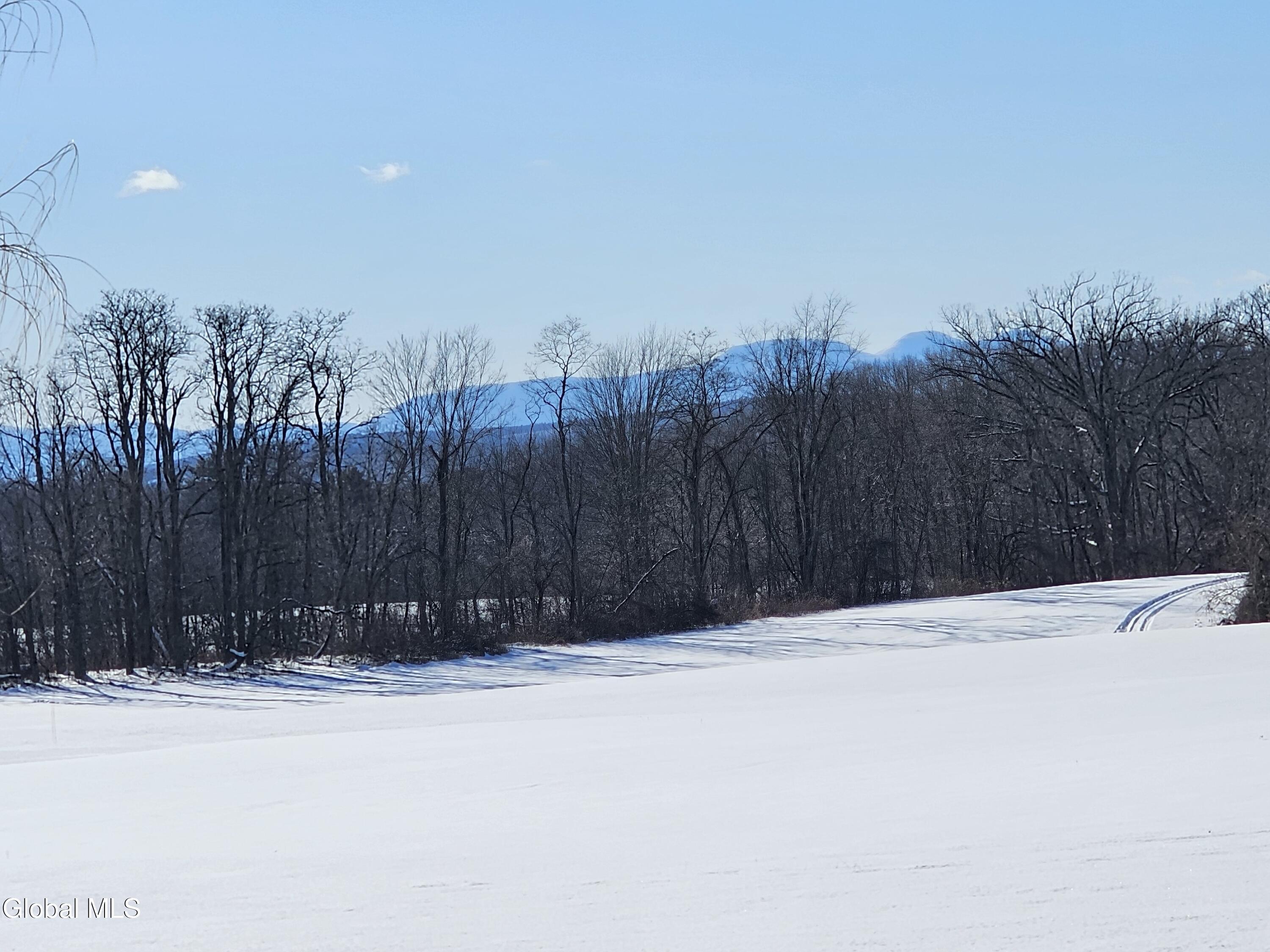 L29A Ridge Road Stuyvesant NY 12173