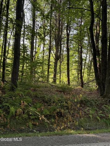 344 Dickinson Hill Road Bolton NY 12824