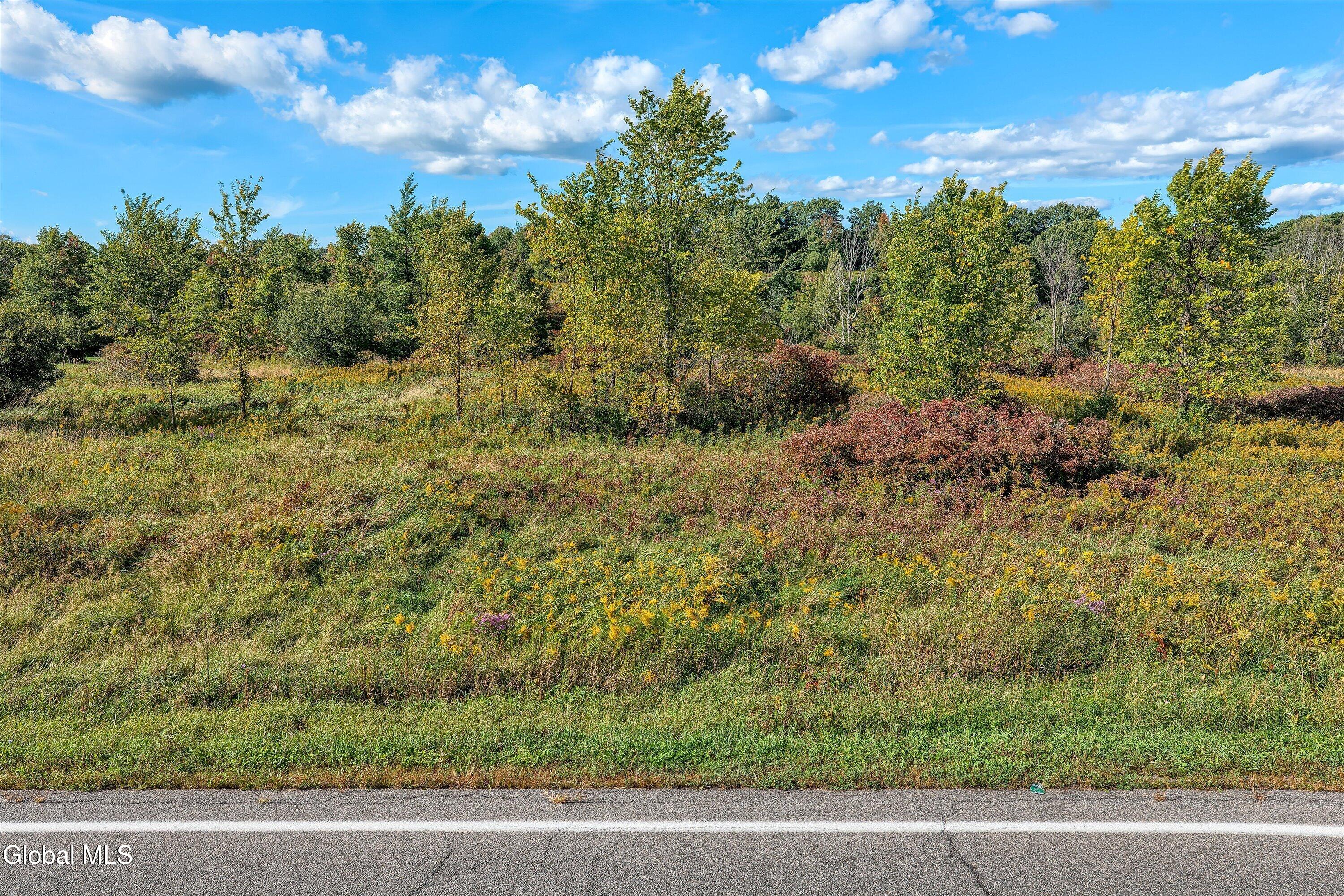 0 Bozenkill Road Knox NY 12053