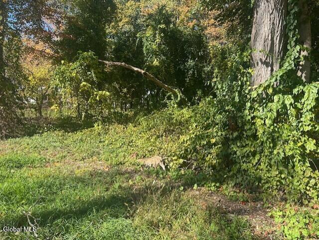 L12 Jane Drive Glenville NY 12302