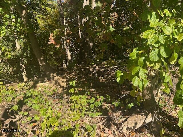 L12 Jane Drive Glenville NY 12302