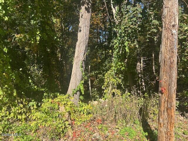 L12 Jane Drive Glenville NY 12302