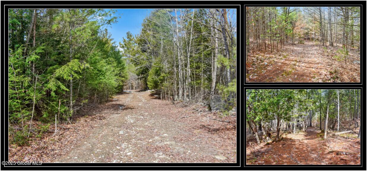 L11 Mountain Meadows Road Adirondack NY 12860