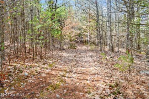 L11 Mountain Meadows Road Adirondack NY 12860