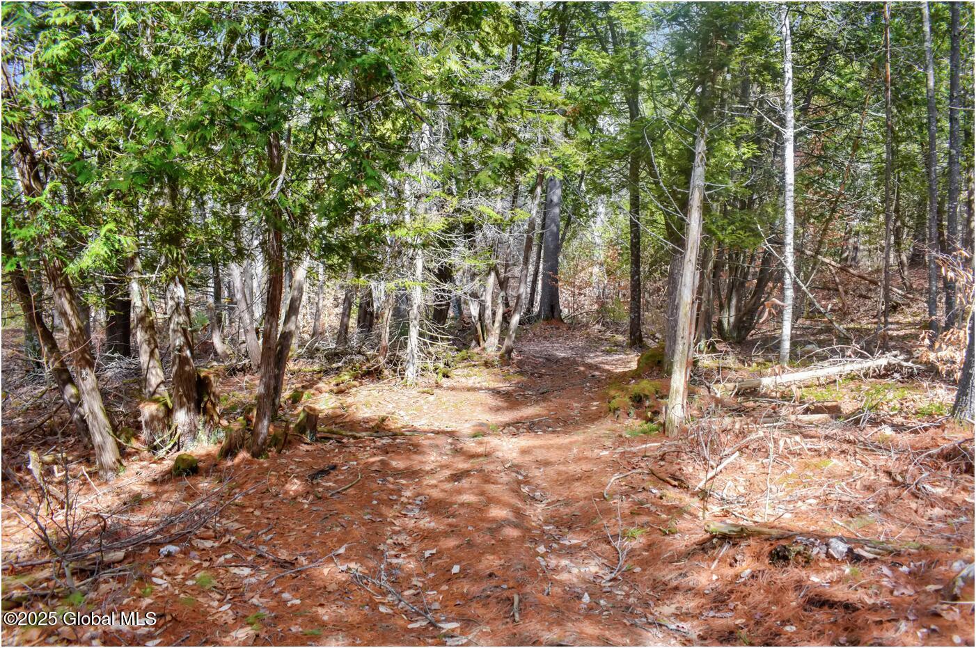 L11 Mountain Meadows Road Adirondack NY 12860