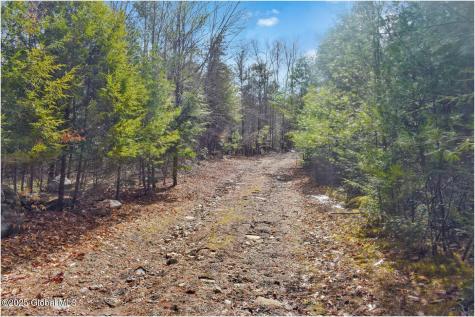L11 Mountain Meadows Road Adirondack NY 12860