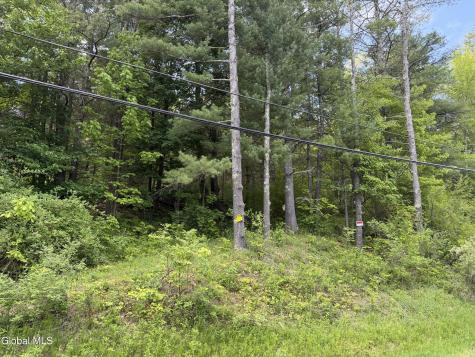 6067 State Route 81 Greenville NY 12083