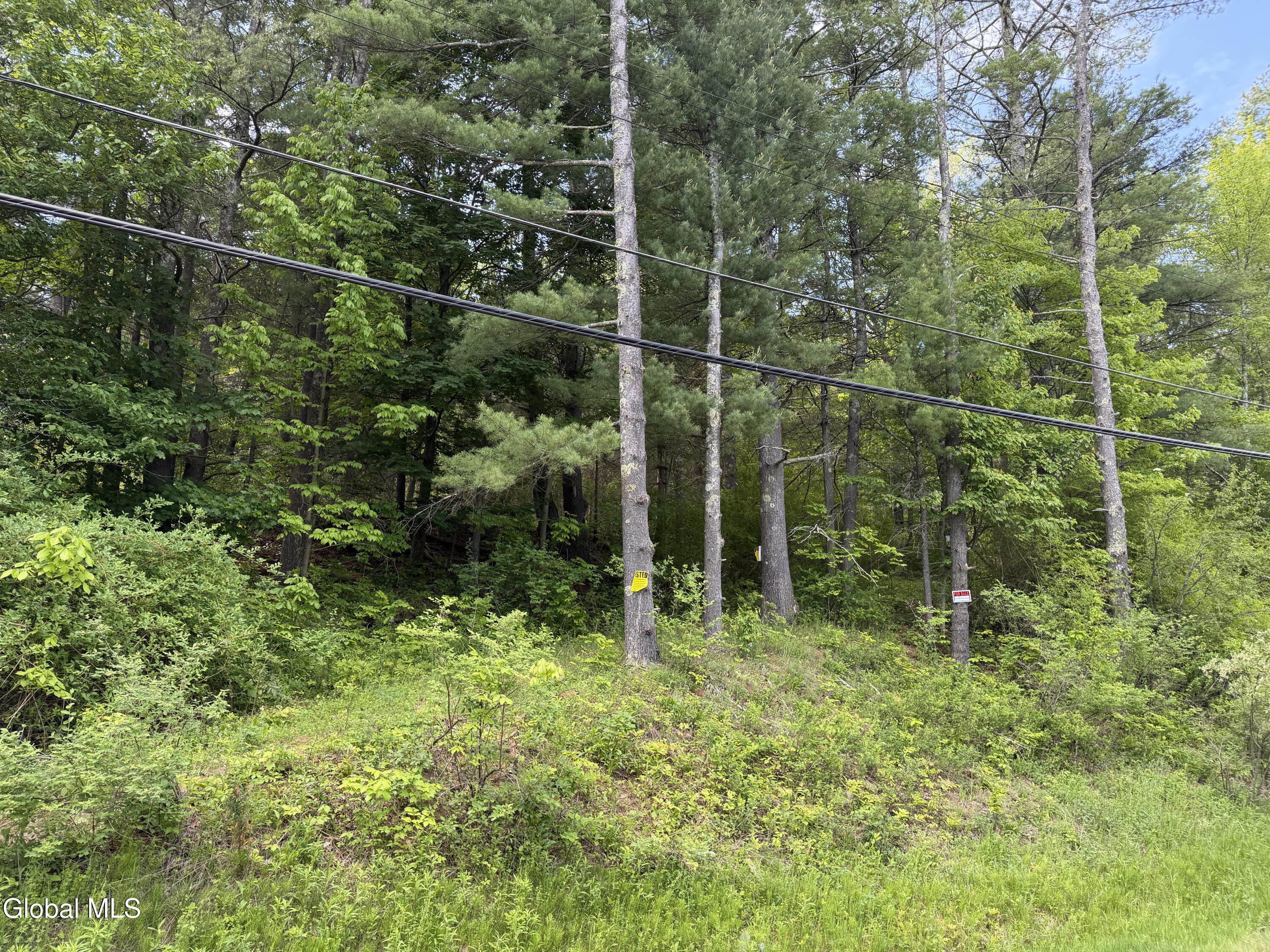 6067 State Route 81 Greenville NY 12083