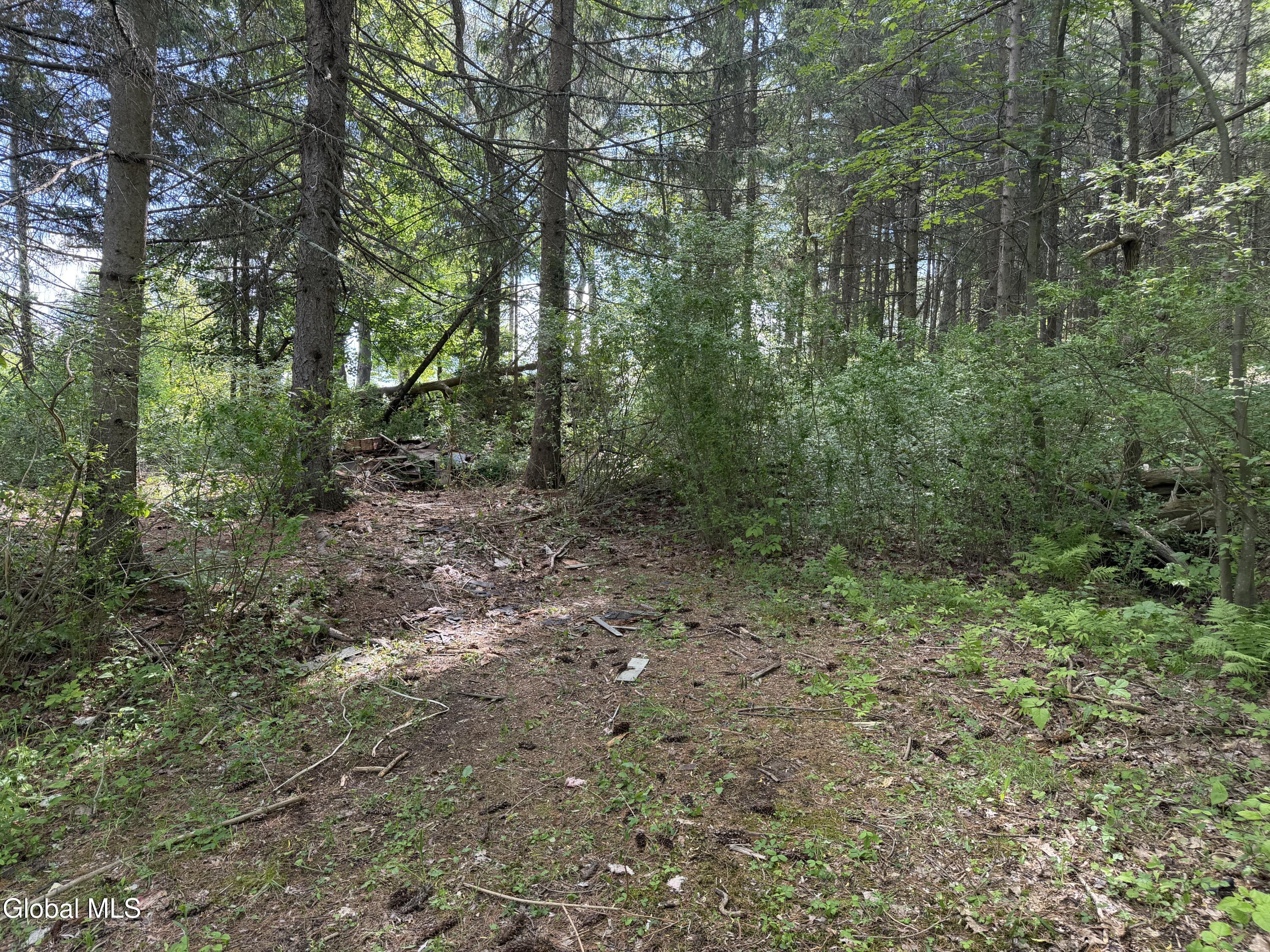 6067 State Route 81 Greenville NY 12083