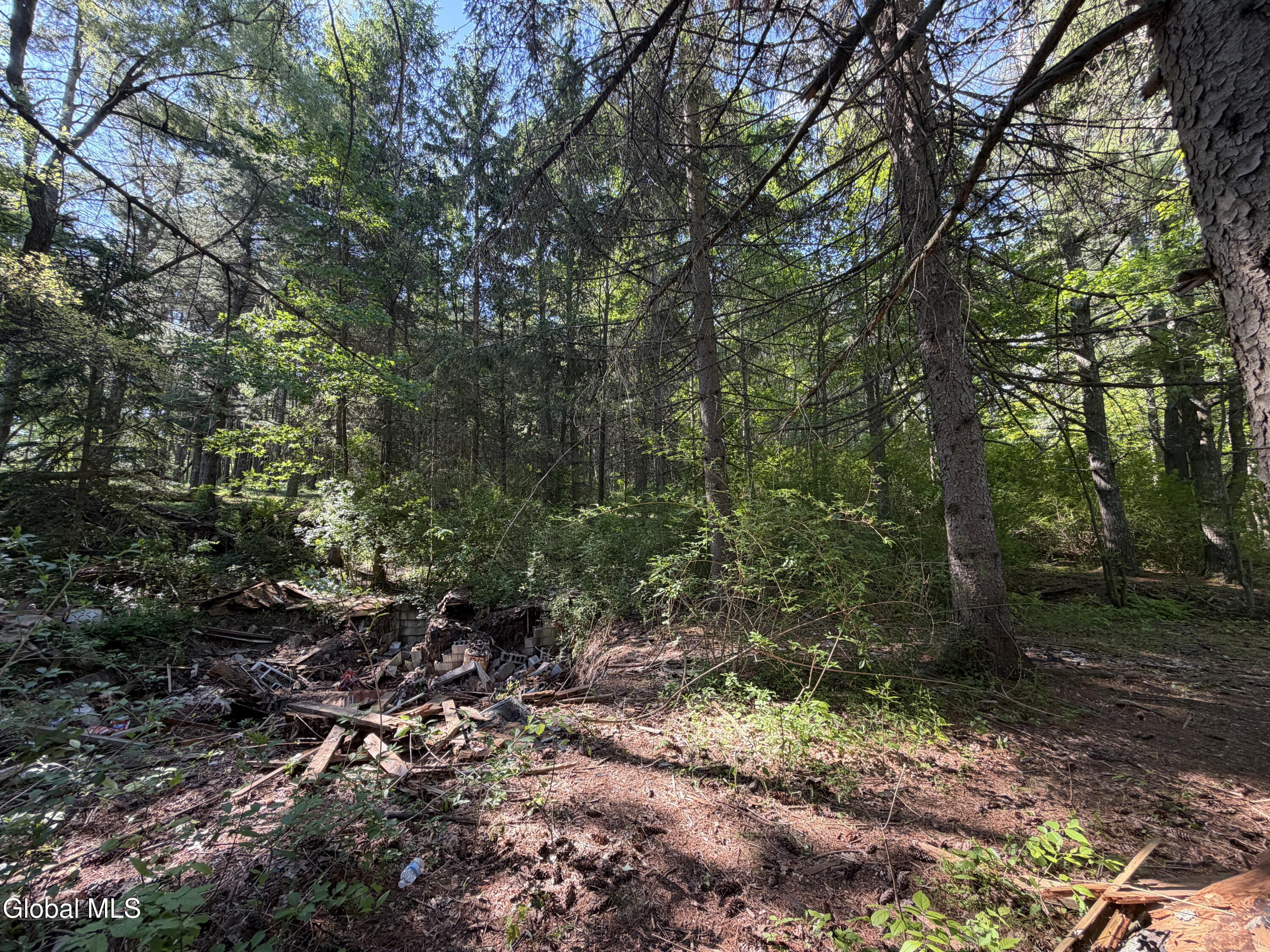 6067 State Route 81 Greenville NY 12083