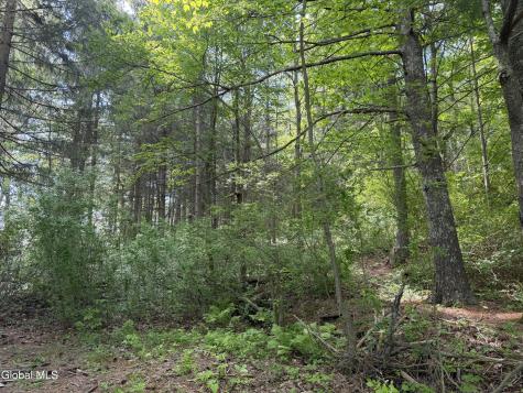 6067 State Route 81 Greenville NY 12083