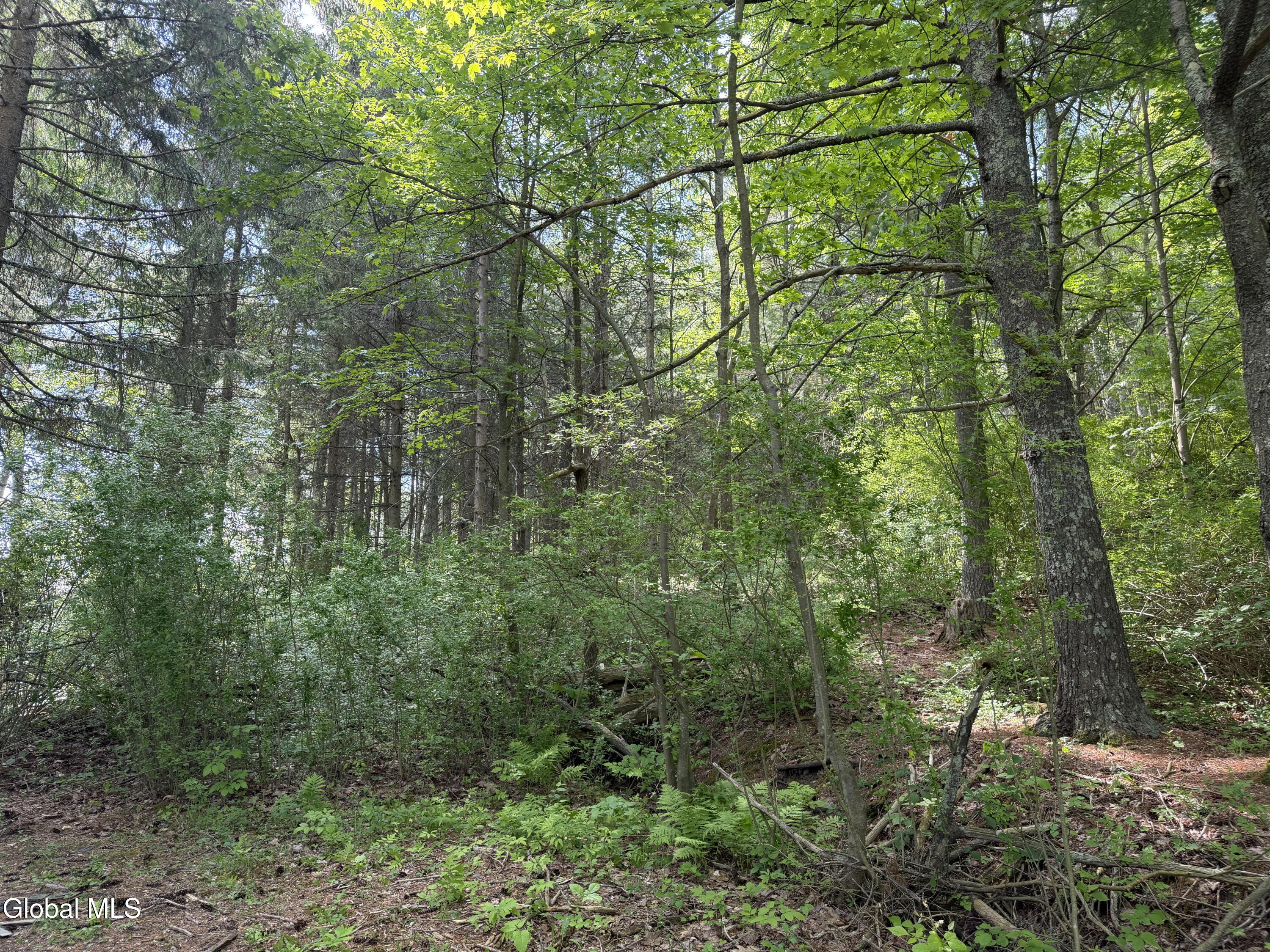 6067 State Route 81 Greenville NY 12083