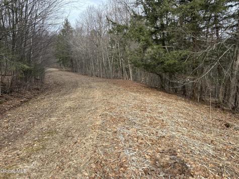 22 Beech Way Stephentown NY 12168