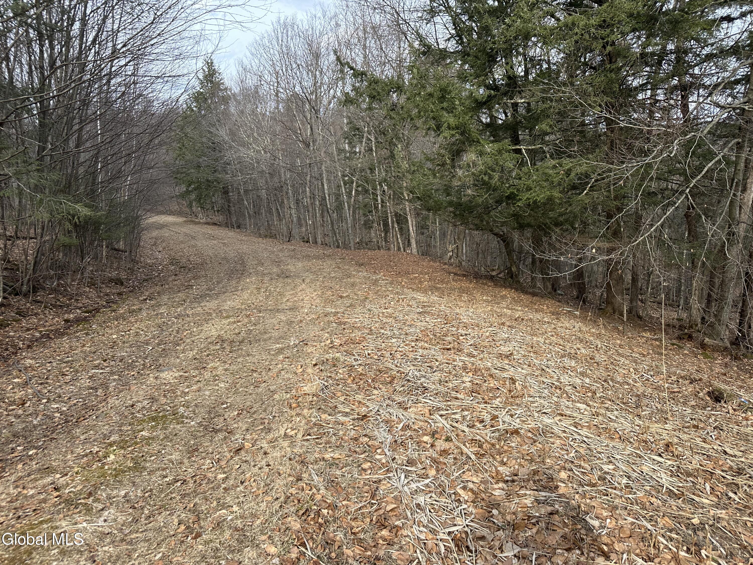 22 Beech Way Stephentown NY 12168