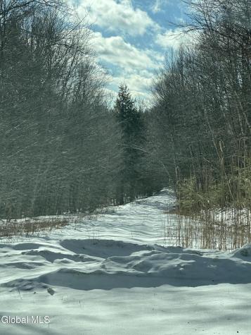 22 Beech Way Stephentown NY 12168