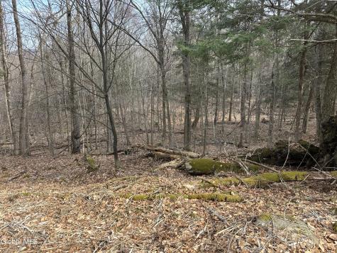 22 Beech Way Stephentown NY 12168