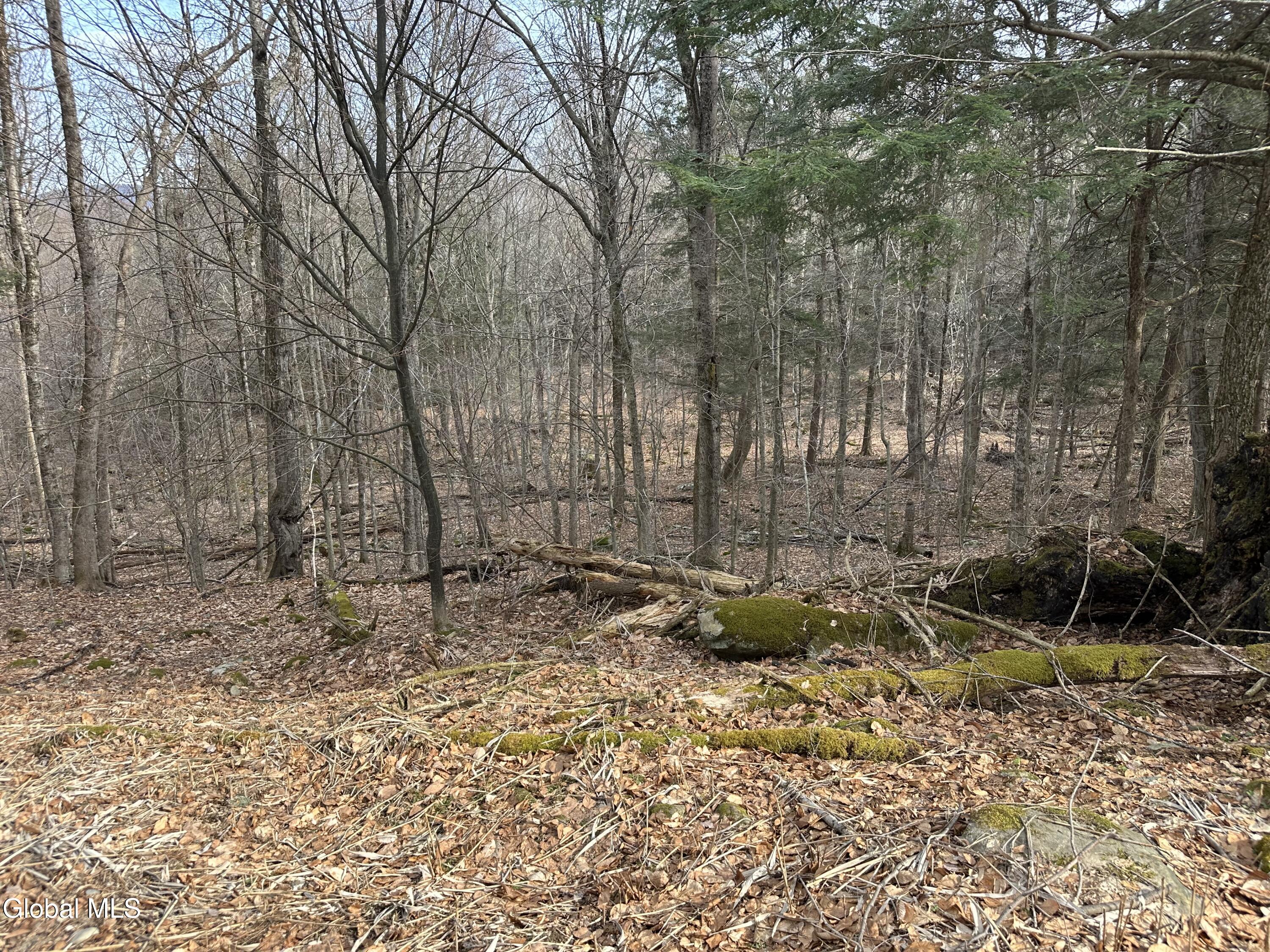 22 Beech Way Stephentown NY 12168
