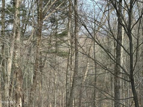22 Beech Way Stephentown NY 12168