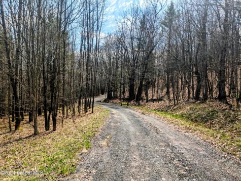 L17 Birchwood Drive Windham NY 12496