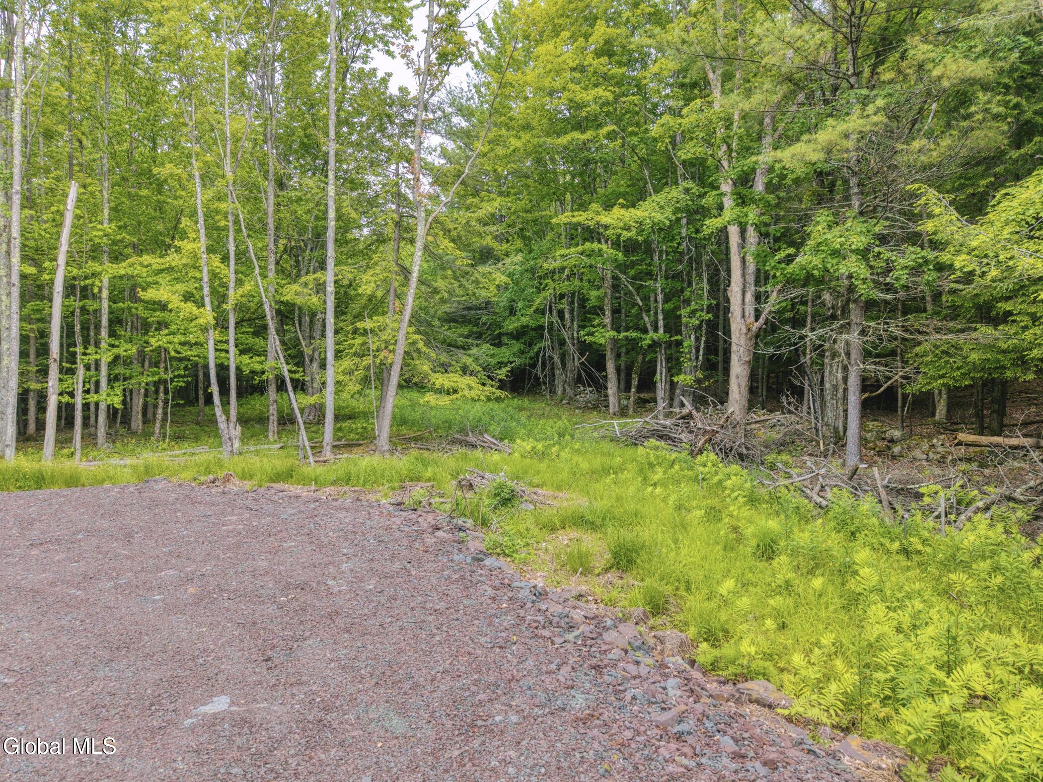 Tbd Boulder Brook Road Windham NY 12496