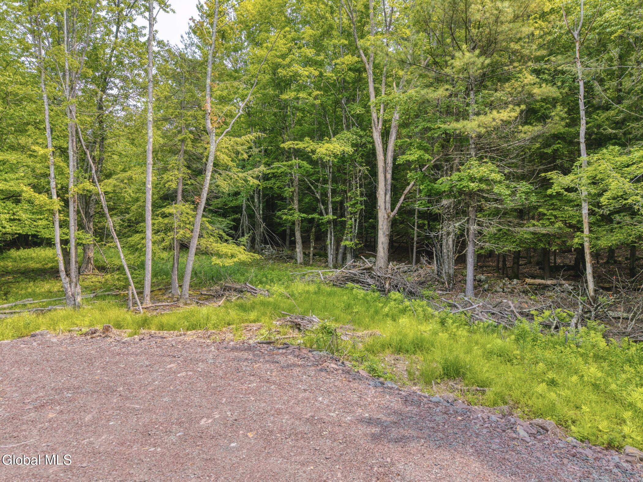 Tbd Boulder Brook Road Windham NY 12496