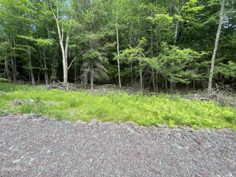 L37 Boulder Brook Road Windham NY 12496