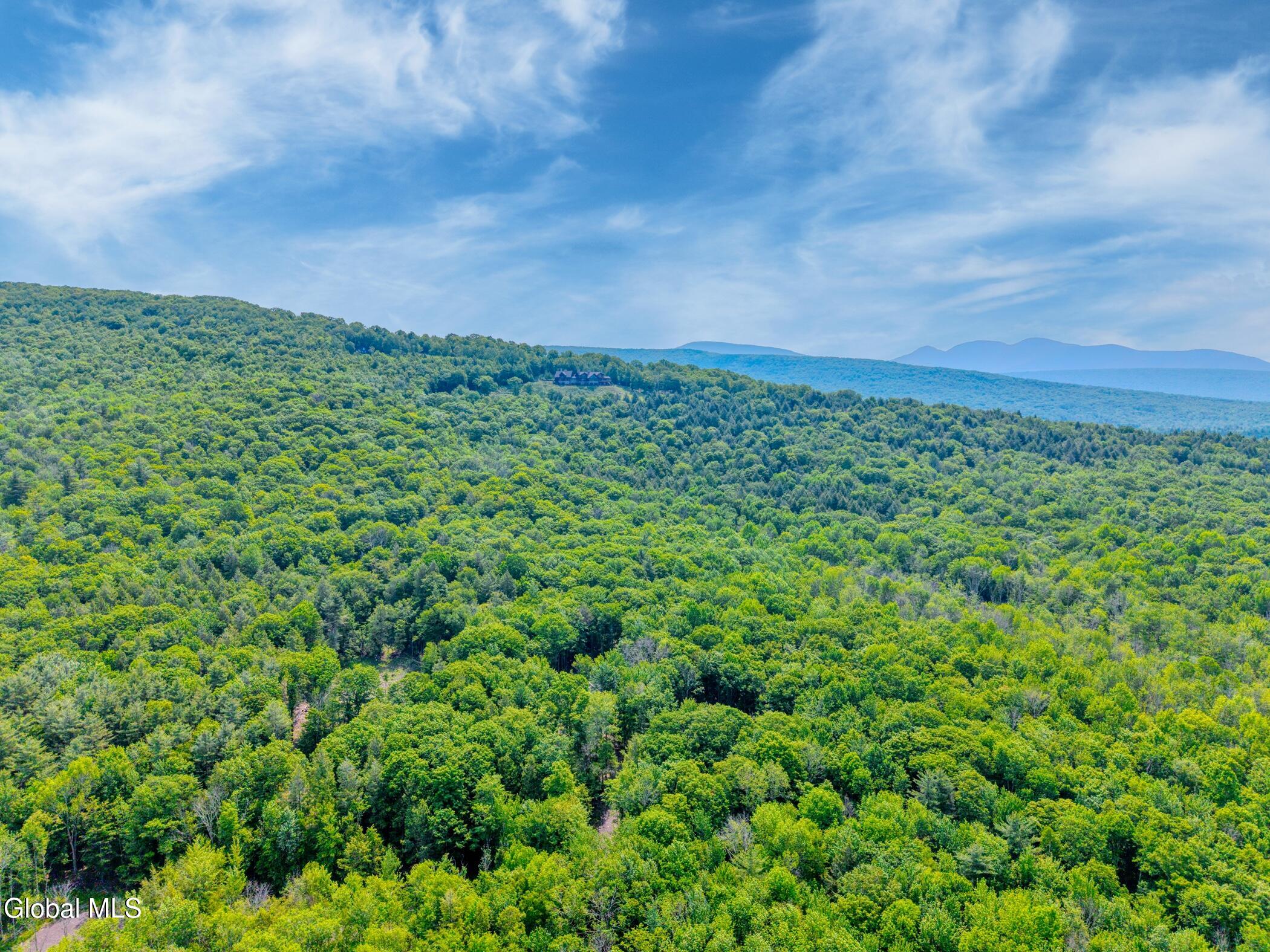 Tbd Boulder Brook Road Windham NY 12496