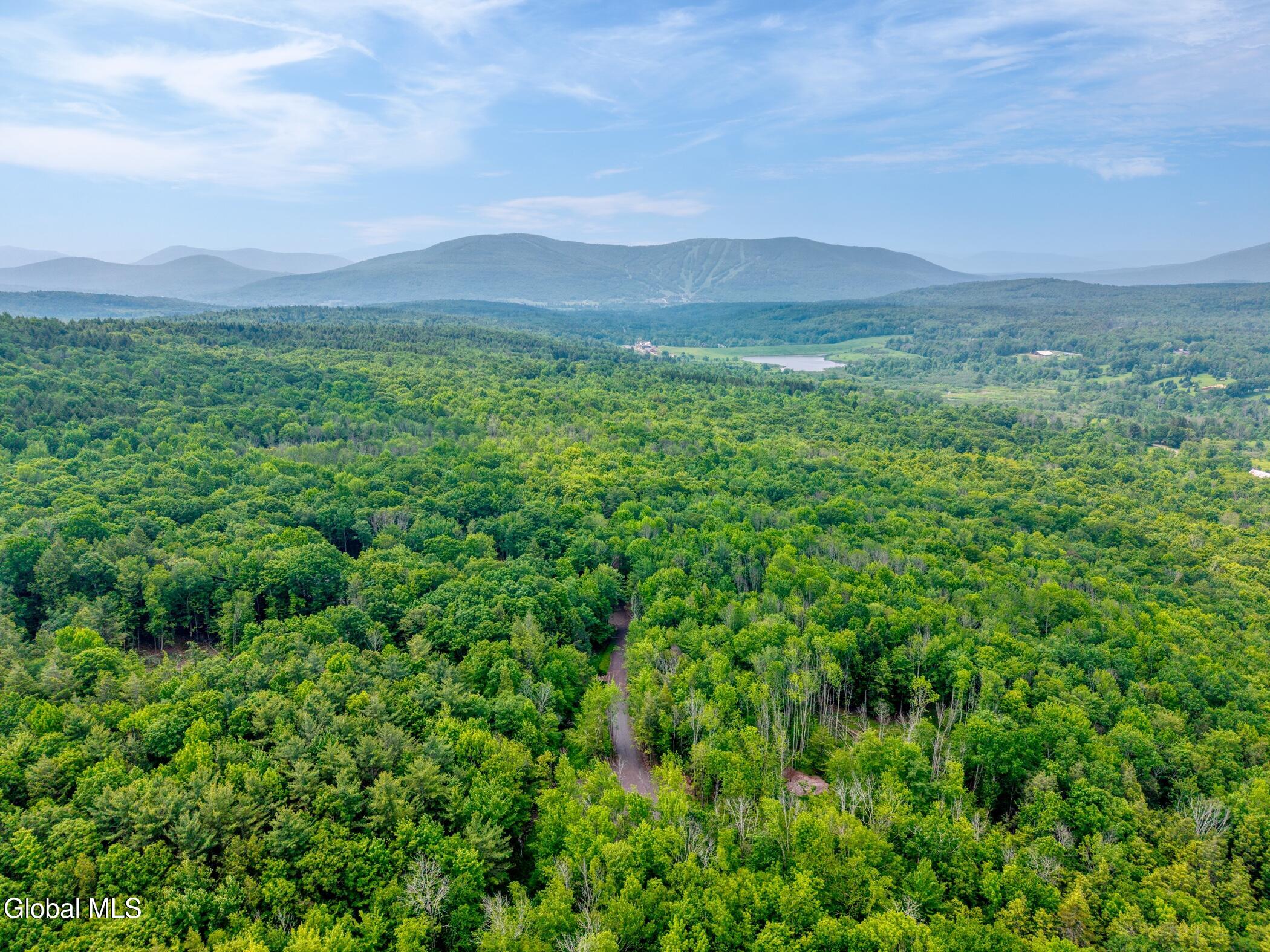 Tbd Boulder Brook Road Windham NY 12496
