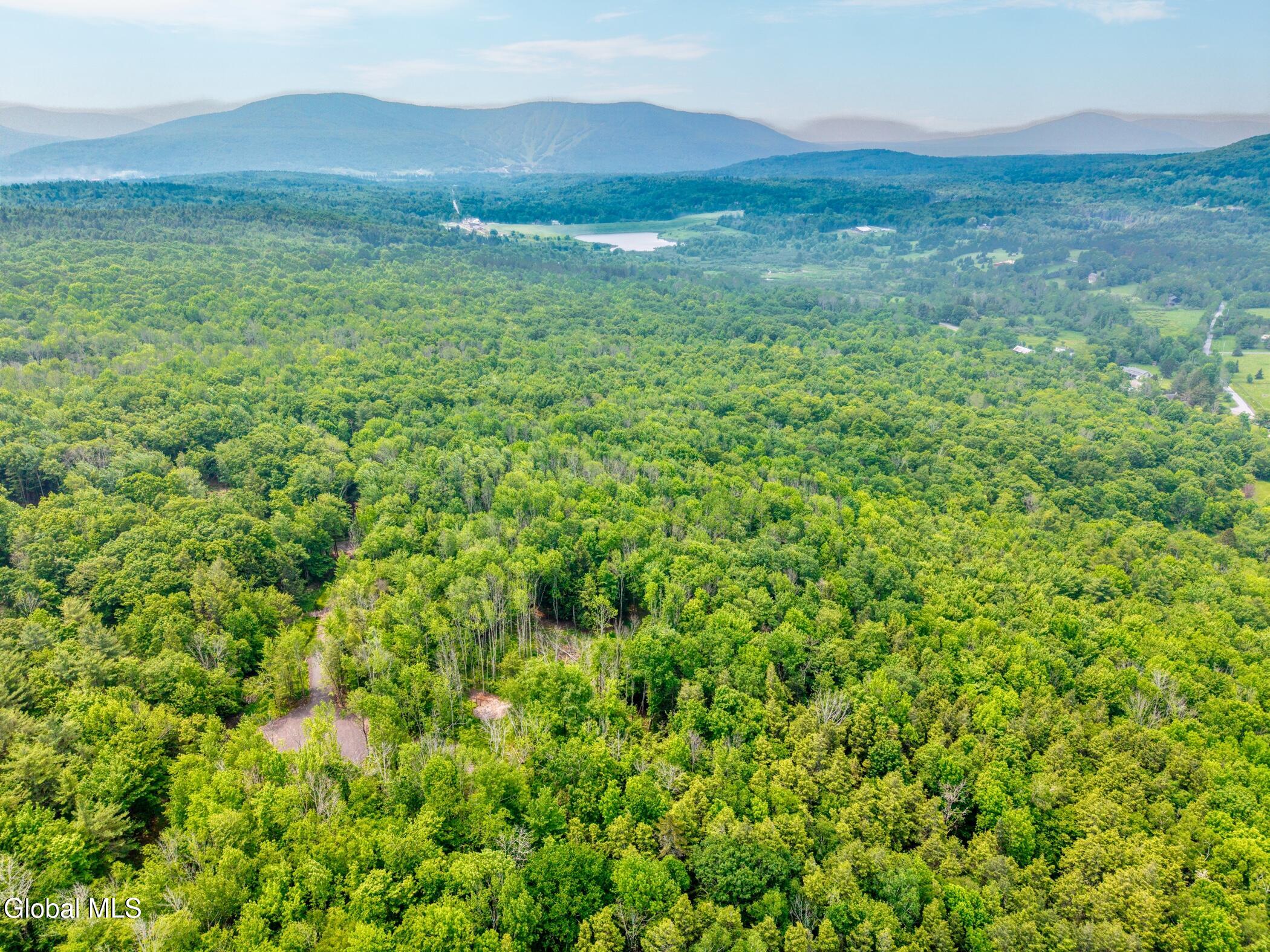 Tbd Boulder Brook Road Windham NY 12496