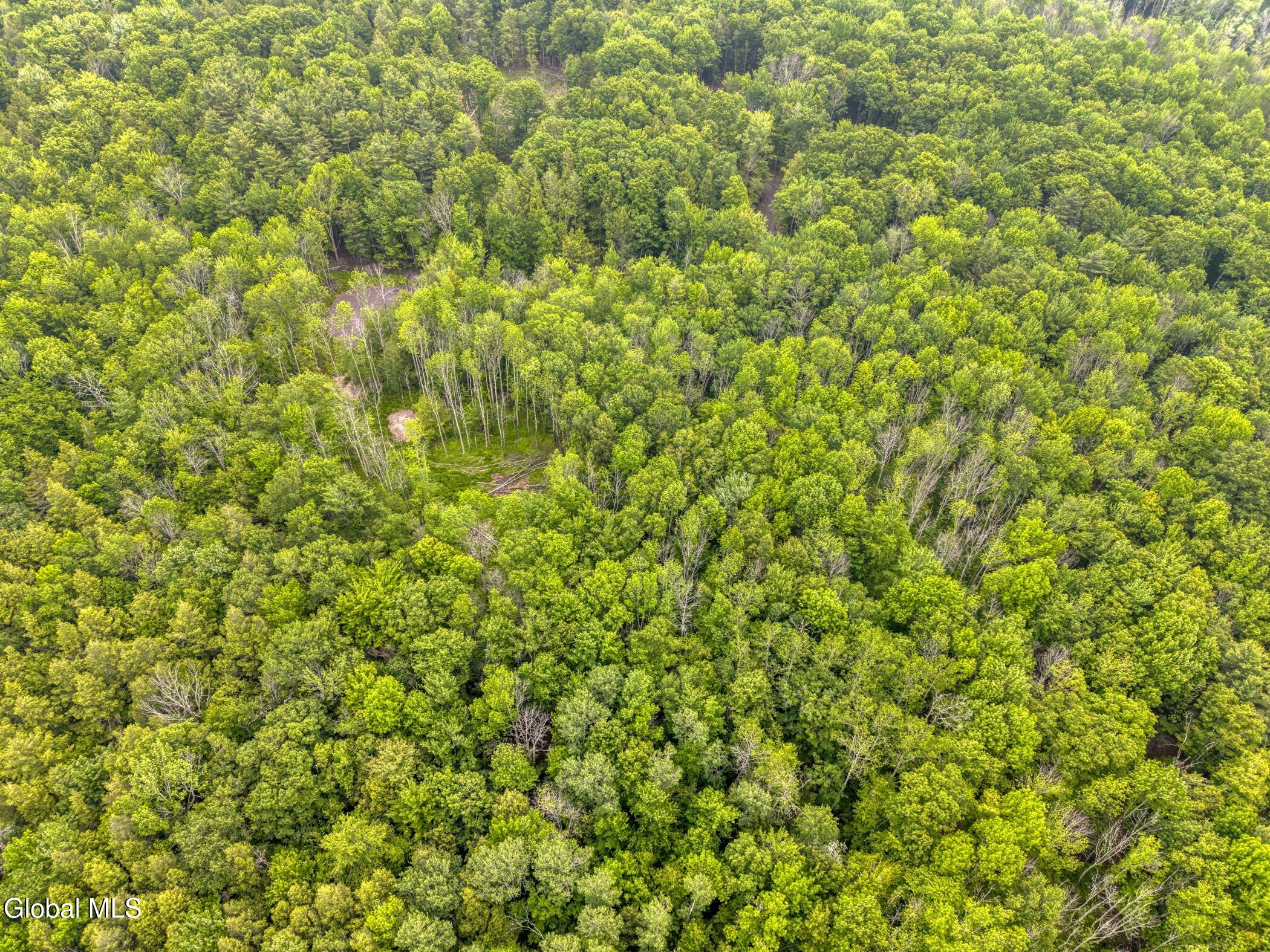 Tbd Boulder Brook Road Windham NY 12496