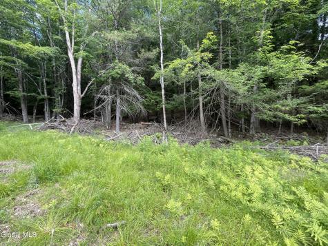 L37 Boulder Brook Road Windham NY 12496